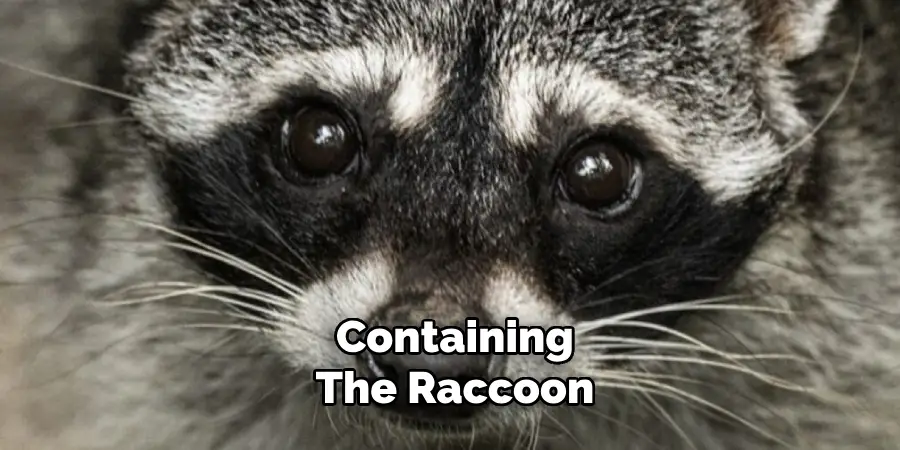 Containing the Raccoon