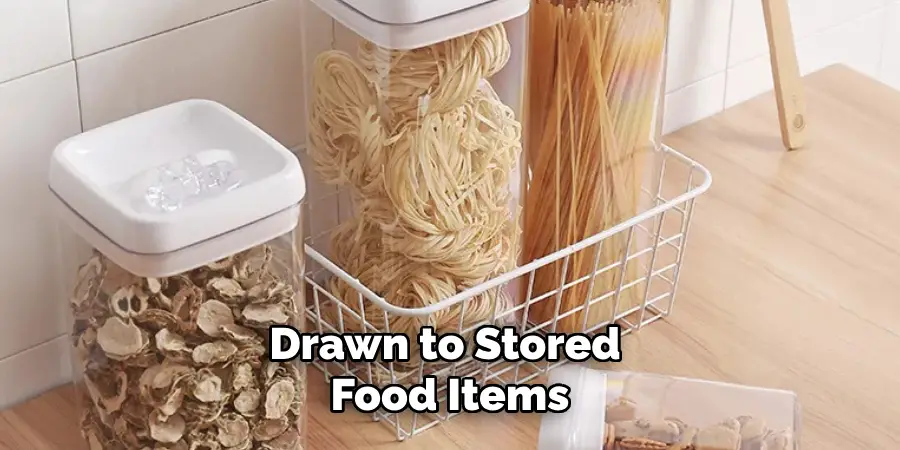 Drawn to Stored Food Items