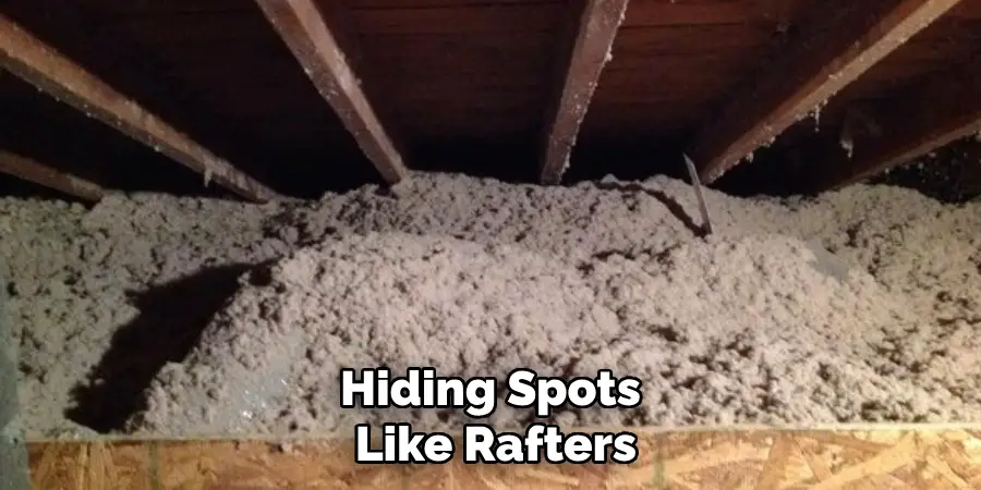 Hiding Spots Like Rafters