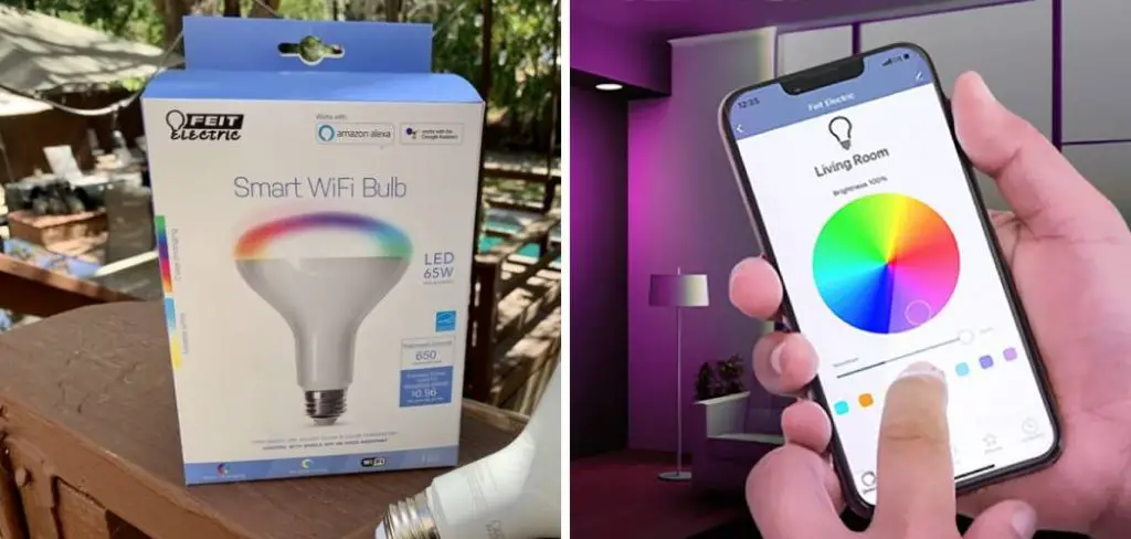 How to Connect the Smart Feit Electric Smart Led Garage Light