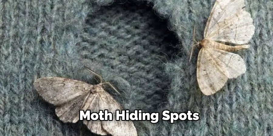 Moth Hiding Spots 