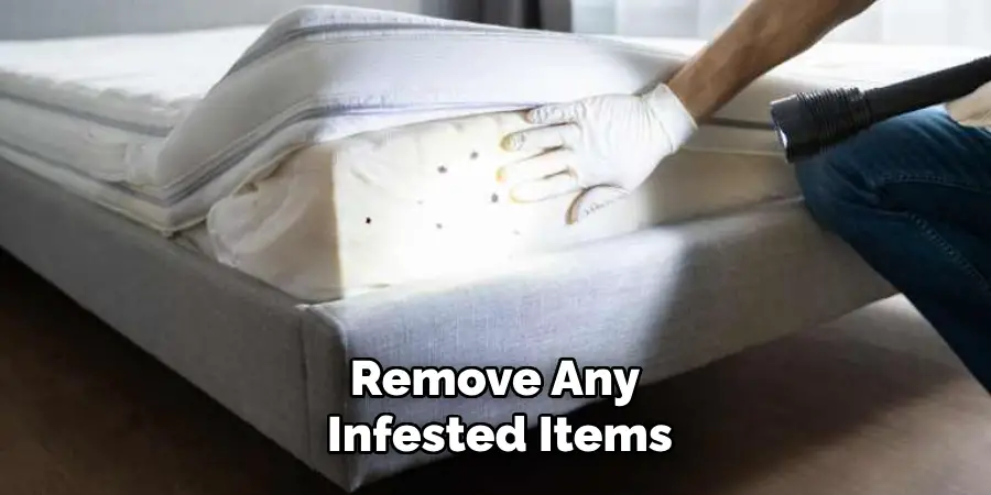 Remove Any Infested Items