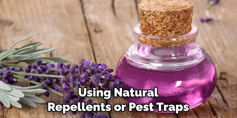 Using Natural Repellents or Pest Traps