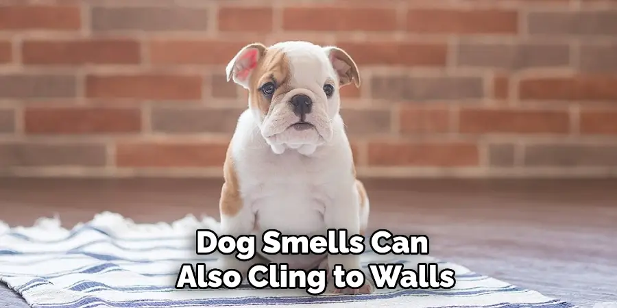 Dog Smells Can 
Also Cling to Walls