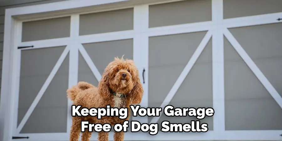 Keeping Your Garage 
Free of Dog Smells