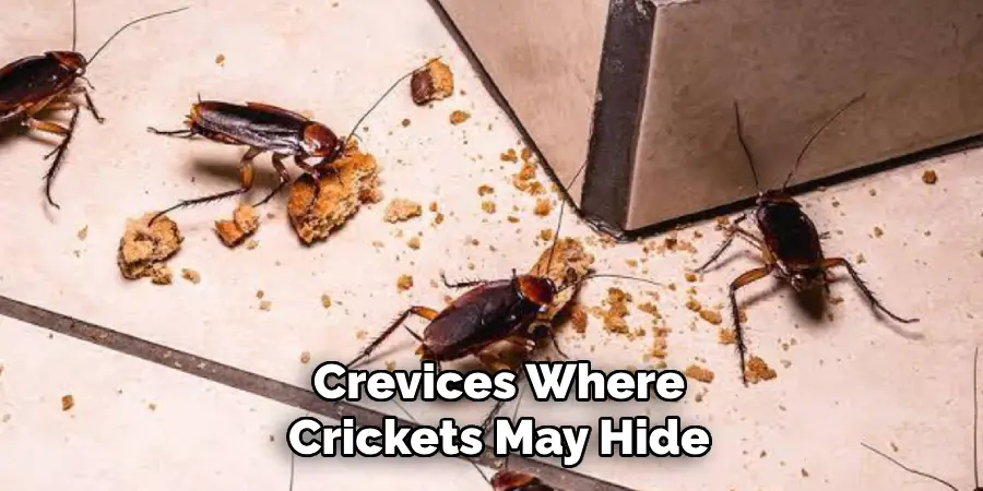 Crevices Where
Crickets May Hide