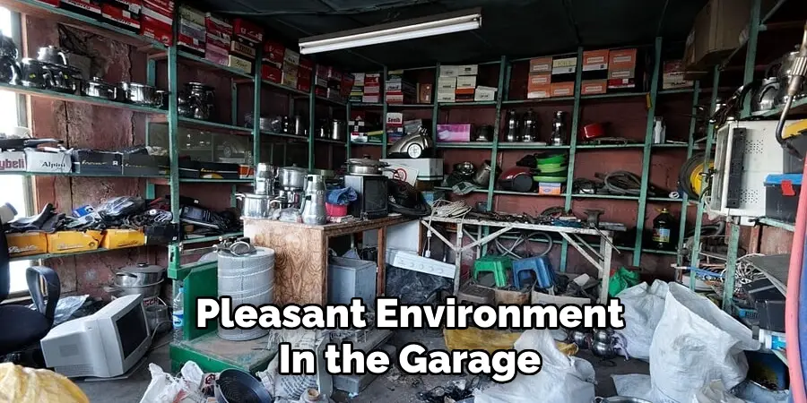 Pleasant Environment
In the Garage