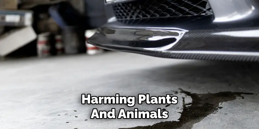 Harming Plants
And Animals