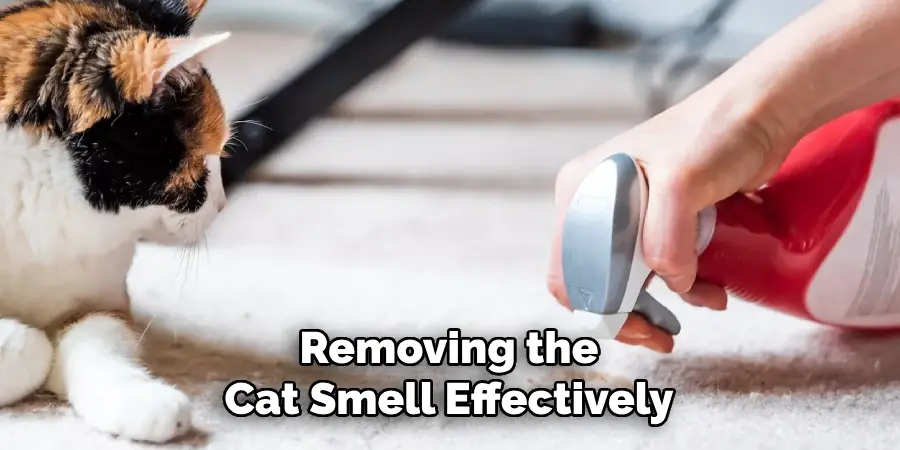 Removing the
Cat Smell Effectively