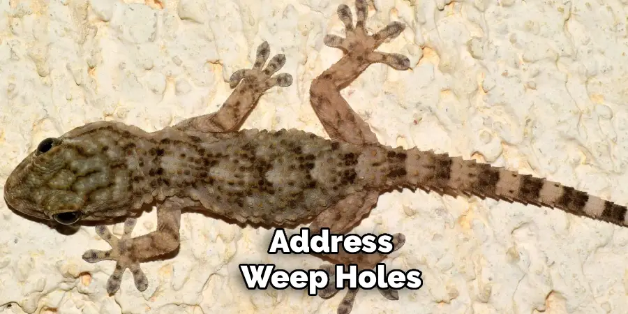 Address Weep Holes