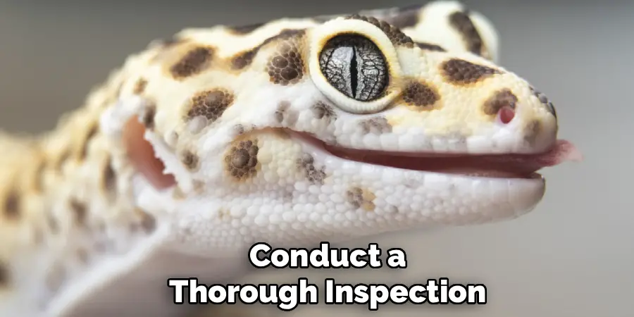 Conduct a Thorough Inspection