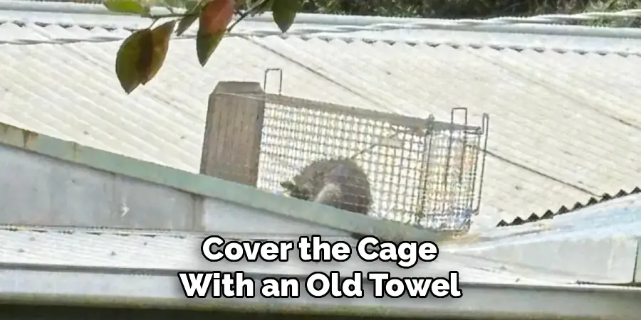 Cover the Cage 
With an Old Towel 