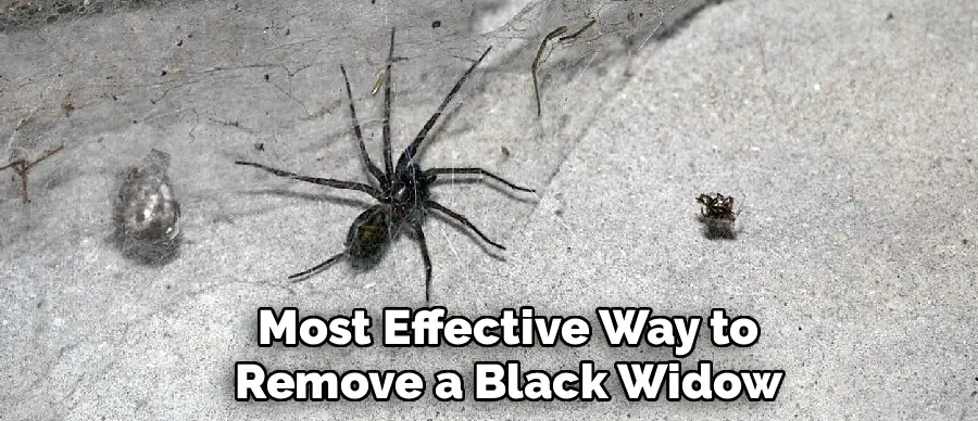 Move Your Cars
Out of the Garage