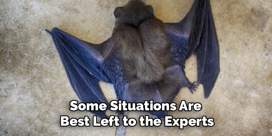 Some Situations Are
Best Left to the Experts