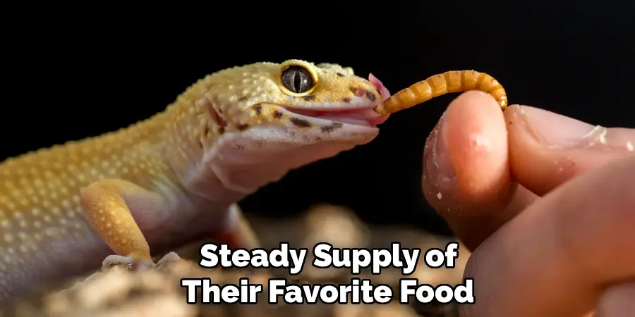 Steady Supply of Their Favorite Food