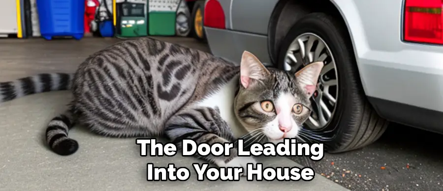 The Door Leading
Into Your House