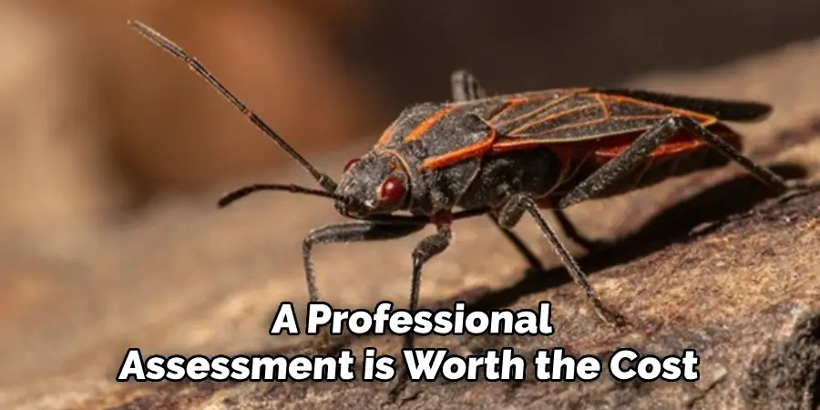 A Professional
Assessment is Worth the Cost