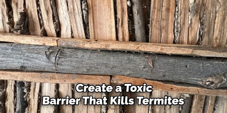 Create a Toxic
Barrier That Kills Termites