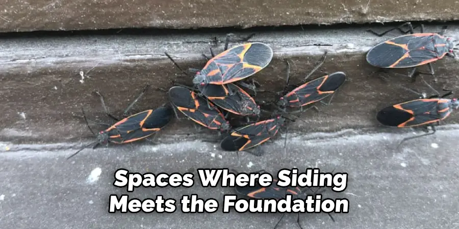 Spaces Where Siding
Meets the Foundation