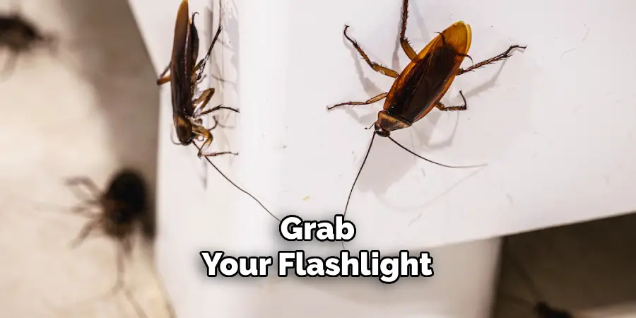 Grab
 Your Flashlight 