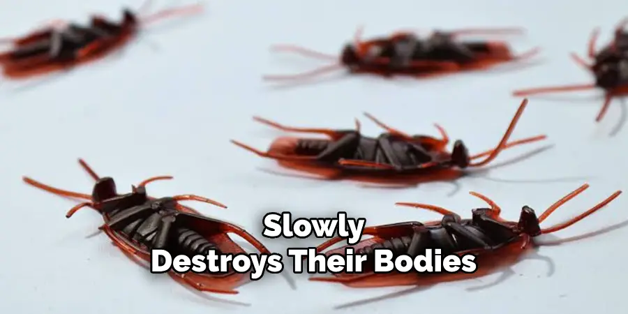  Slowly 
Destroys Their Bodies.