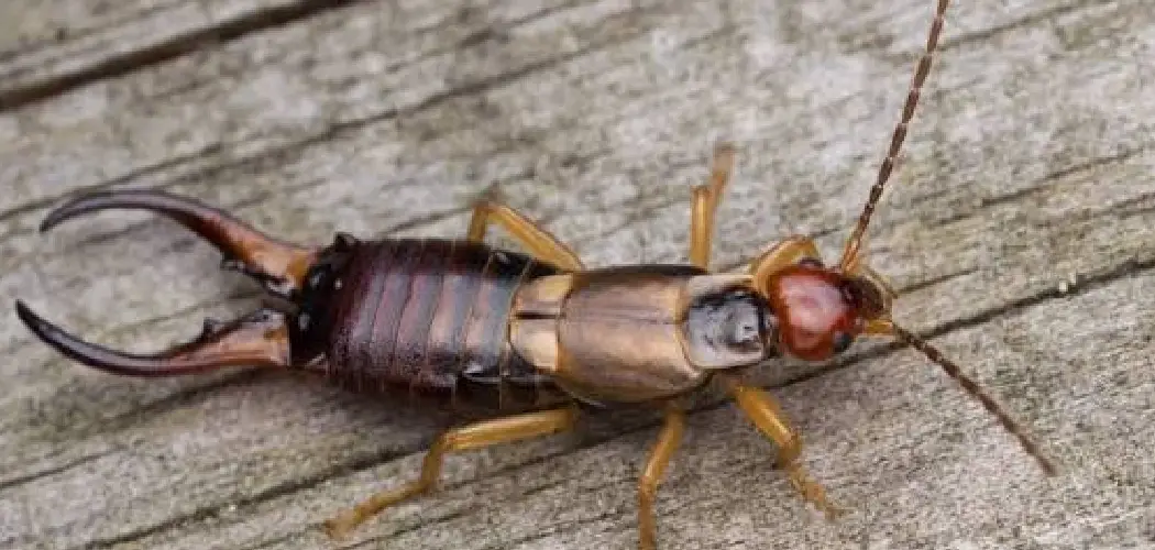 How to Keep Flying Bugs Out of Garage
