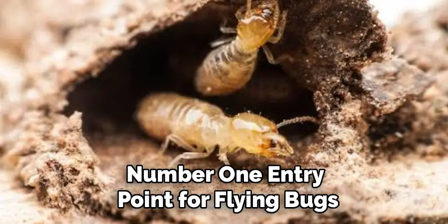 Number One Entry
Point for Flying Bugs