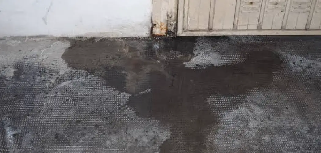 How to Remove Mold From Garage FloorHow to Remove Mold From Garage Floor